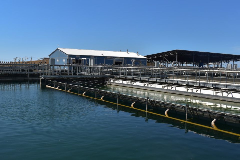  :     ()        99 %.     3,4  