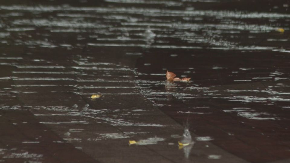 В Симферополе объявлено экстренное предупреждение из-за непогоды В Симферополе объявлено экстренное предупреждение из-за непогоды