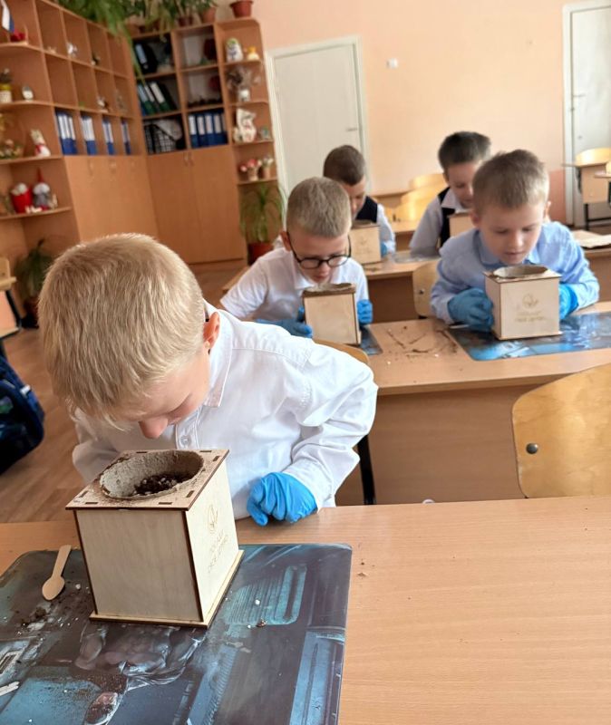Пусть за окном пасмурно и дождь, нам это не мешает продолжать акцию «Вырасти свое дерево» Пусть за окном пасмурно и дождь, нам это не мешает продолжать акцию «Вырасти свое дерево»