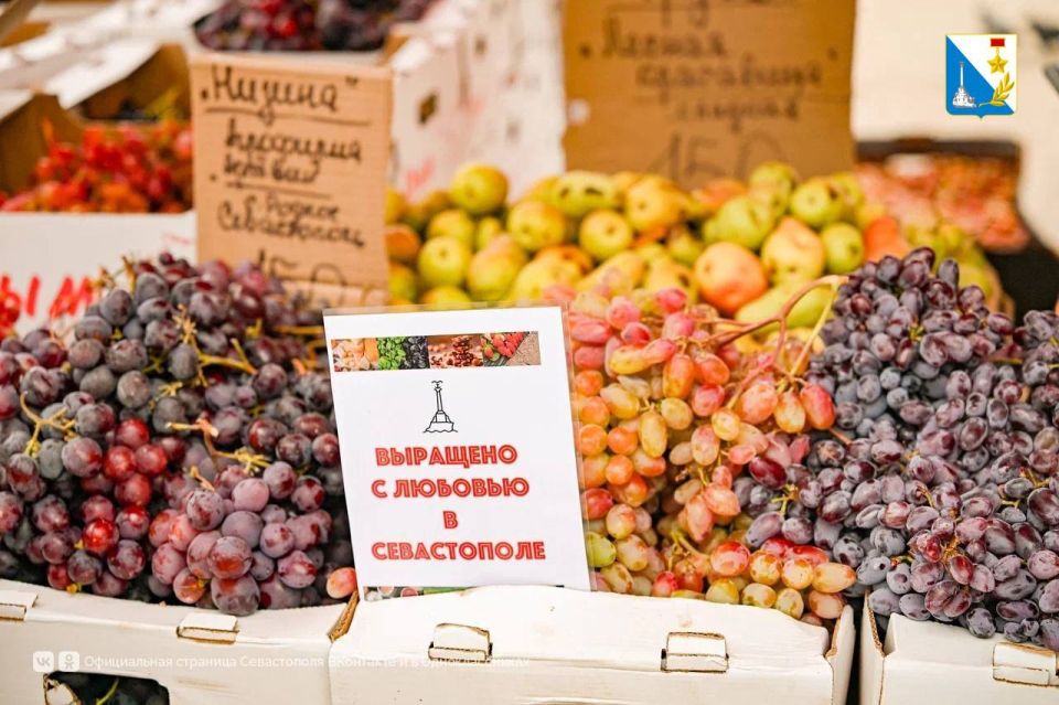 Все на ярмарку!. С 19 по 21 сентября на площади 50-летия СССР проходит ярмарка «Севастопольская» — в этот раз сюда приехали более 25 производителей южных регионов, в том числе — из исторических регионов России Все на ярмарку!. С 19 по 21 сентября на площади 50-летия СССР проходит ярмарка «Севастопольская» — в этот раз сюда приехали более 25 производителей южных регионов, в том числе — из исторических регионов России