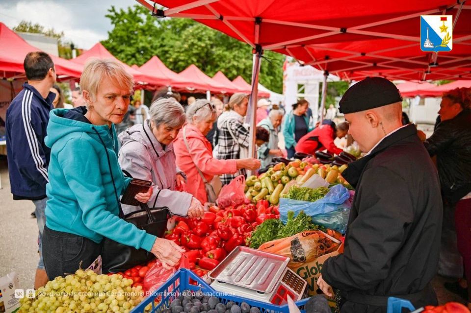 Все на ярмарку!. С 19 по 21 сентября на площади 50-летия СССР проходит ярмарка «Севастопольская» — в этот раз сюда приехали более 25 производителей южных регионов, в том числе — из исторических регионов России Все на ярмарку!. С 19 по 21 сентября на площади 50-летия СССР проходит ярмарка «Севастопольская» — в этот раз сюда приехали более 25 производителей южных регионов, в том числе — из исторических регионов России
