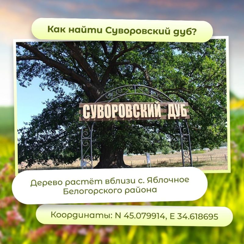 Деревья и поля каждый сезон меняют цвет, а она всегда остаётся белой Деревья и поля каждый сезон меняют цвет, а она всегда остаётся белой