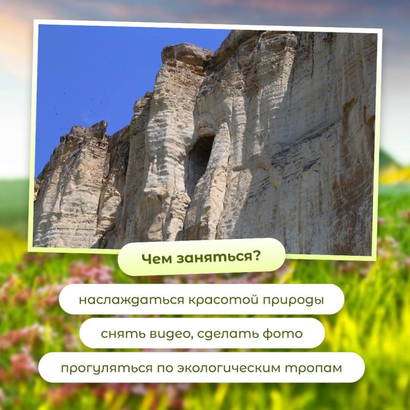 Деревья и поля каждый сезон меняют цвет, а она всегда остаётся белой Деревья и поля каждый сезон меняют цвет, а она всегда остаётся белой