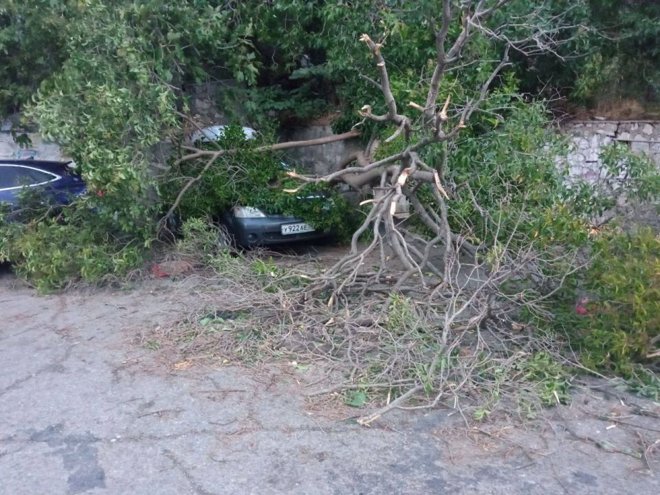 ������ � ������ ������ ����� ����� ���� ��������