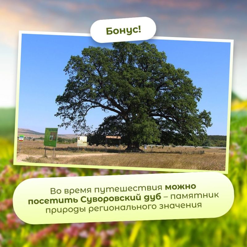 Деревья и поля каждый сезон меняют цвет, а она всегда остаётся белой Деревья и поля каждый сезон меняют цвет, а она всегда остаётся белой