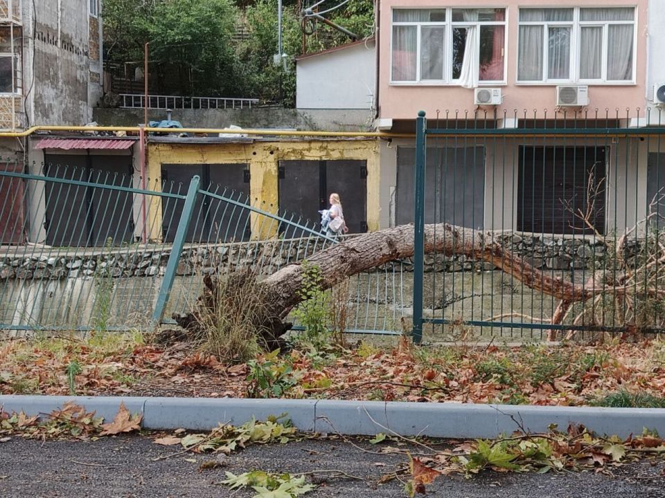 ������ ���������: ������� ���� �������� � ���� ����� ������