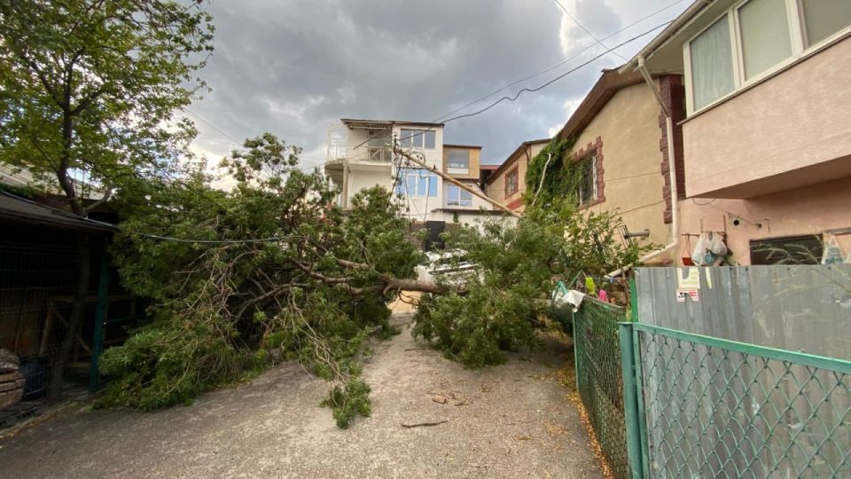 ������ � ������ ������ ����� ����� ���� ��������