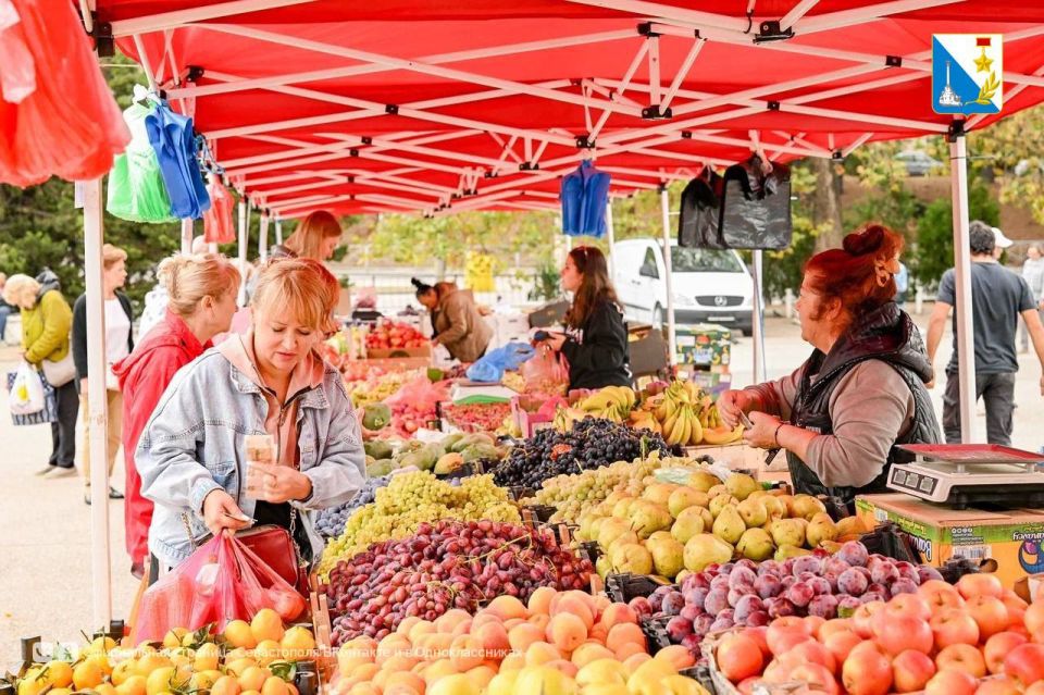 Все на ярмарку!. С 19 по 21 сентября на площади 50-летия СССР проходит ярмарка «Севастопольская» — в этот раз сюда приехали более 25 производителей южных регионов, в том числе — из исторических регионов России Все на ярмарку!. С 19 по 21 сентября на площади 50-летия СССР проходит ярмарка «Севастопольская» — в этот раз сюда приехали более 25 производителей южных регионов, в том числе — из исторических регионов России