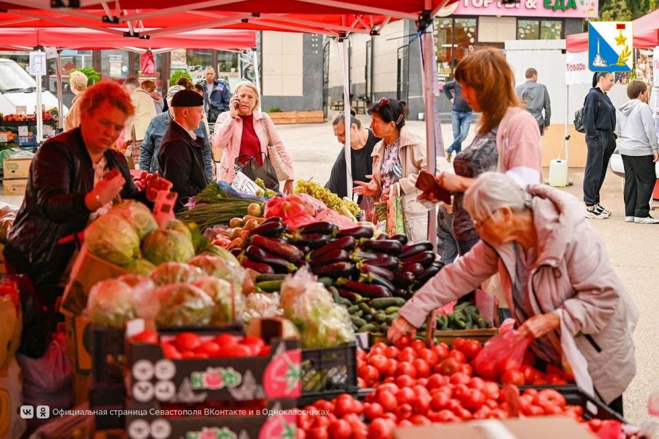 Все на ярмарку!. С 19 по 21 сентября на площади 50-летия СССР проходит ярмарка «Севастопольская» — в этот раз сюда приехали более 25 производителей южных регионов, в том числе — из исторических регионов России