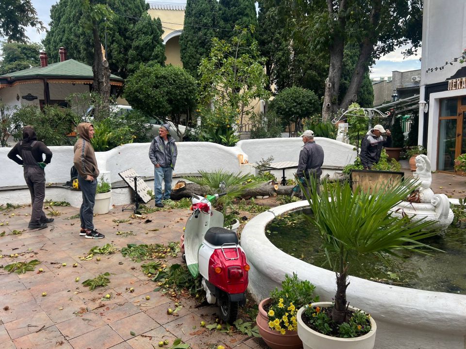 ����������� �������� ��������� � ������