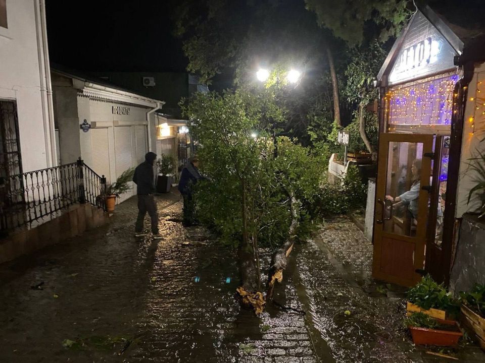 ����� ��������: ���� �������� � ���� ����� ���� � �������� ��� ����������� �����������