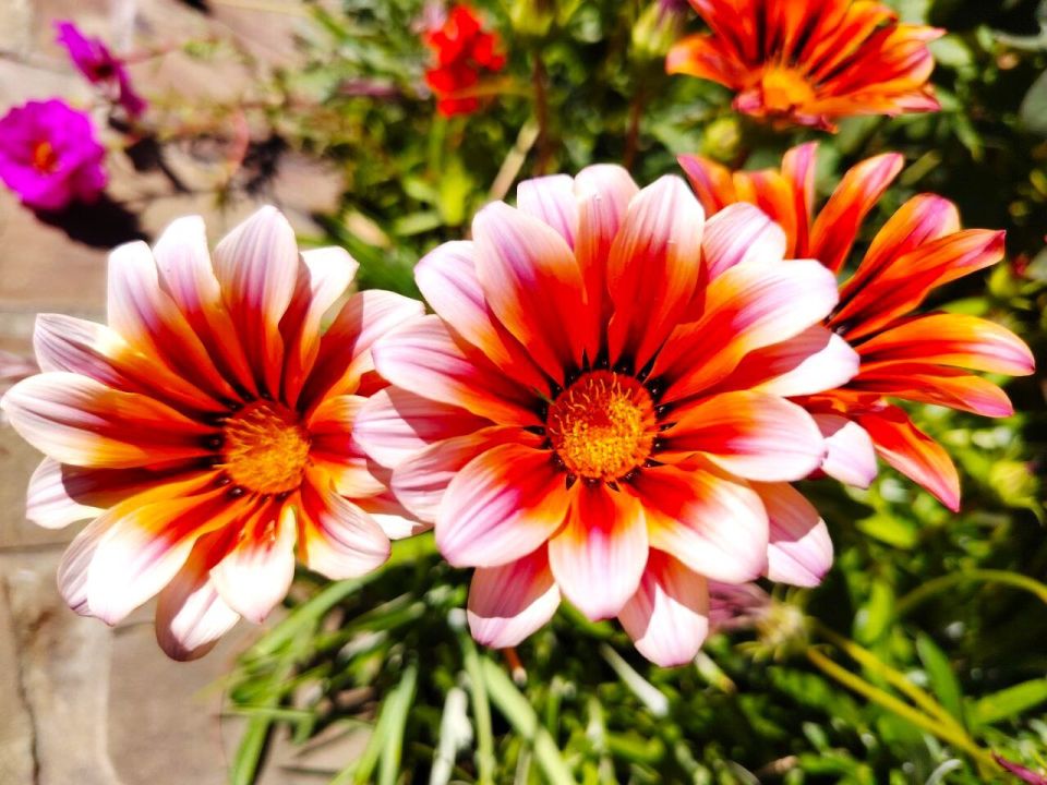 � ������ �����, �������!. ����������, ����������, ��������� � ������� ���� ���! ������������ � ���������, � ������ � ������