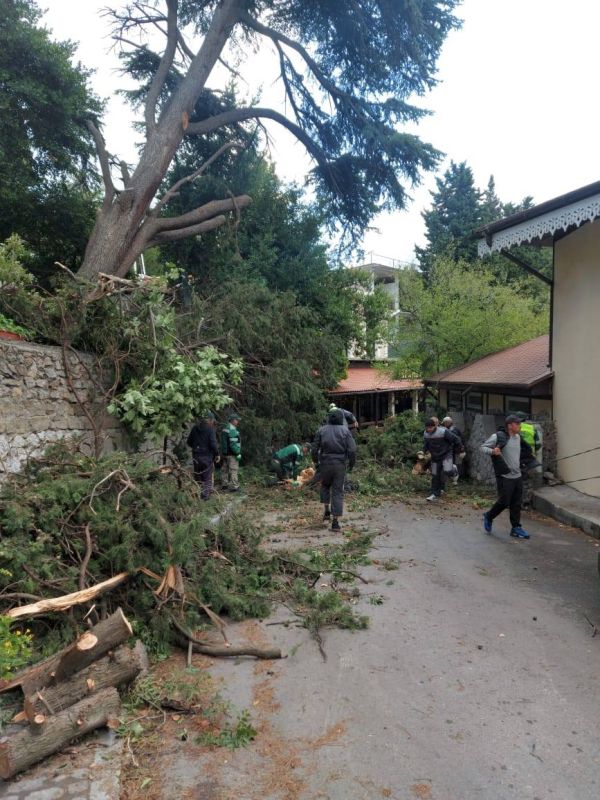 Последствия непогоды устраняют в Алупке