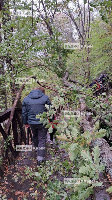 Последствия сильного ветра в ущелье Хапхал