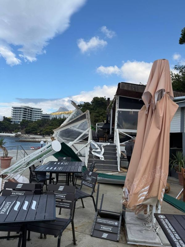 � ������ ������� ����� �������� ��� ��������