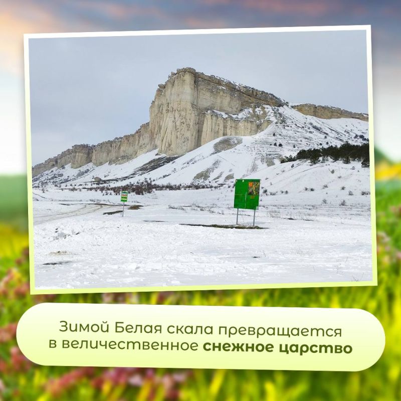 Деревья и поля каждый сезон меняют цвет, а она всегда остаётся белой Деревья и поля каждый сезон меняют цвет, а она всегда остаётся белой