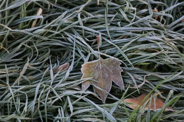 После непродолжительного периода теплой погоды, который наступит после сильных дождей, в Крым вернётся похолодание