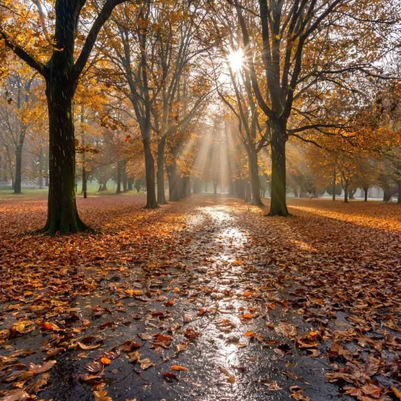 Прогноз погоды в Крыму на 19 сентября