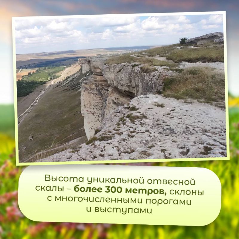 Деревья и поля каждый сезон меняют цвет, а она всегда остаётся белой Деревья и поля каждый сезон меняют цвет, а она всегда остаётся белой