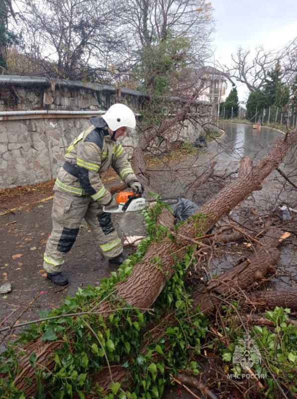 ��������� �������������� � ����� �����������: 17 �������� ������� �� ������