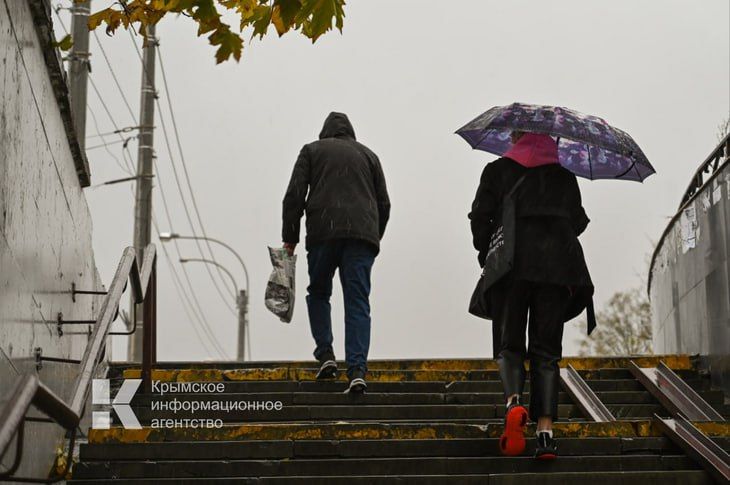 � ������� �� ����� �������� ���������� �������������� � �������� ����� ���������������� 17 ������������, ��������� � �������� ��������