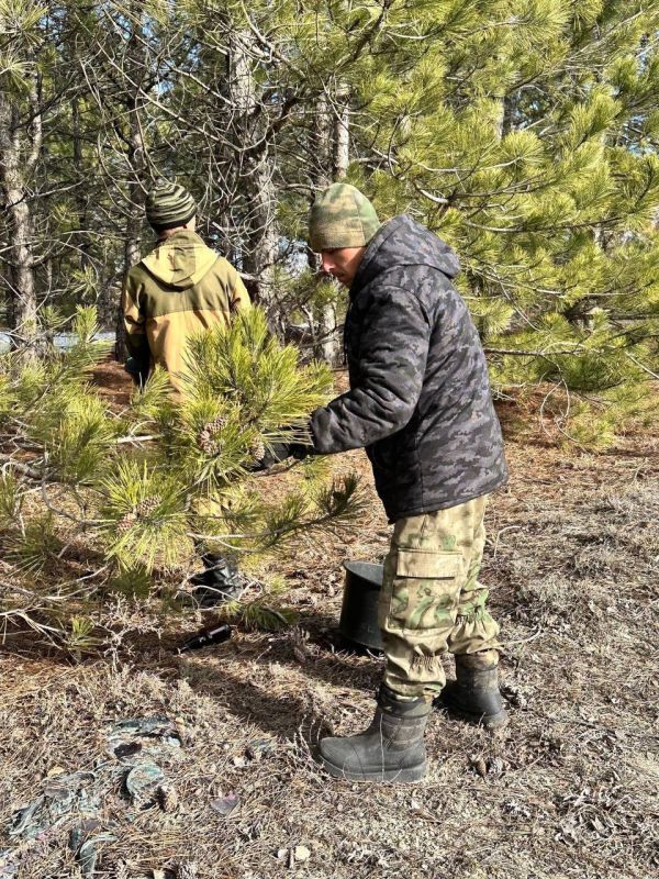 Ольга Шевцова: Ежегодно в третье воскресенье сентября мы отмечаем день работников лесного хозяйства Ольга Шевцова: Ежегодно в третье воскресенье сентября мы отмечаем день работников лесного хозяйства