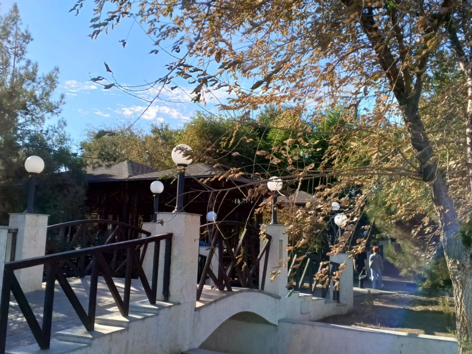 ������� ������ � ����� �� 22 ��������