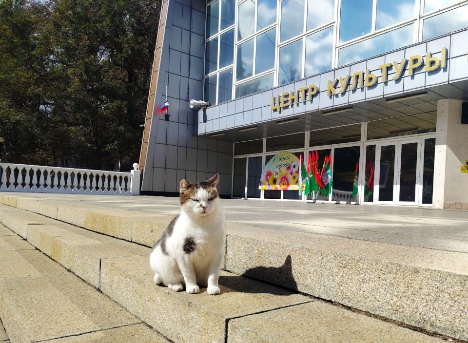 � ������ �����, �������!. ����� ���� ���� �������� � ������� ����� � ��������, ��� �� ������� ��� �����