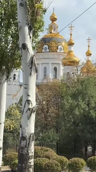 Валерия Петрусевич: Сил уже не хватает.. Сборы все меньше. Собственных средств недостаточно, чтобы закрыть даже часть обращений - их десятки в день. И ребят из тех, кому помогали, все меньше - кто ранен, кто погиб… Я просто...