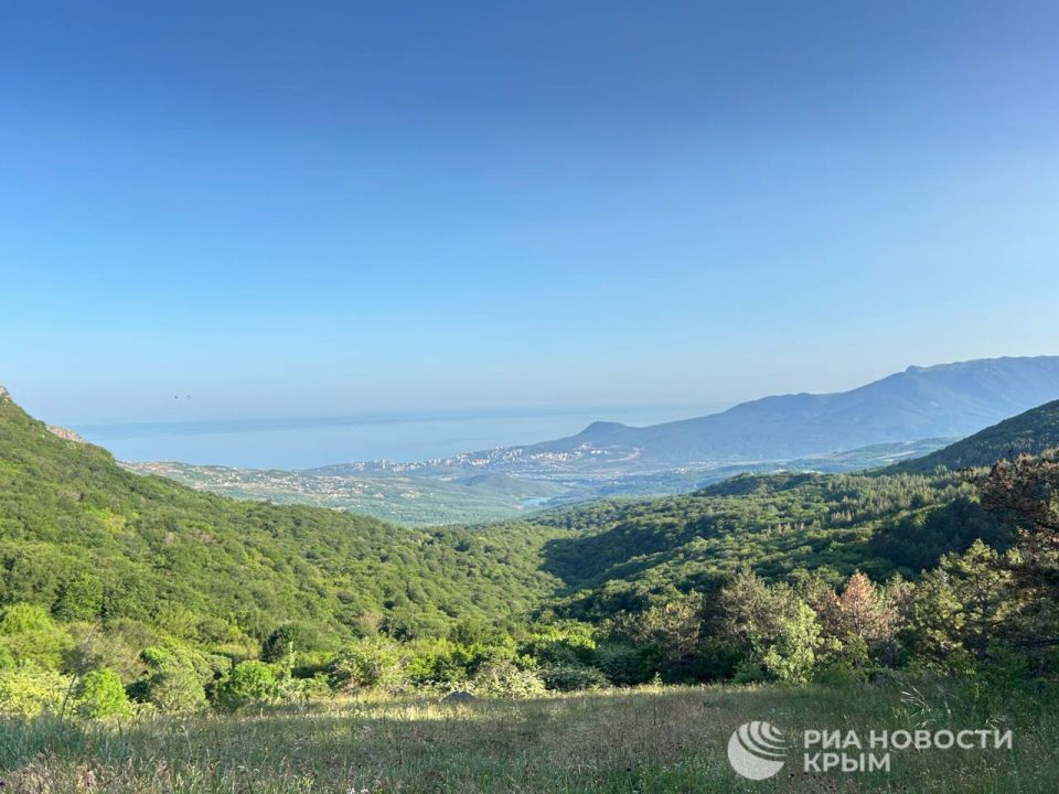 ������� ������ � ����� �� �������