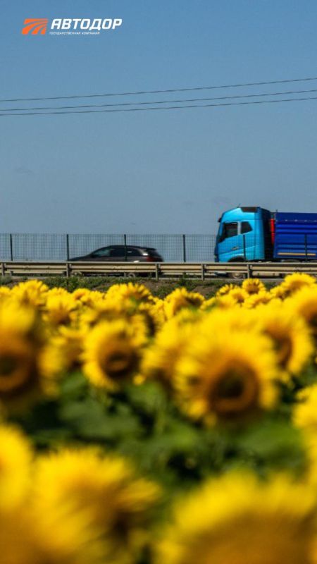 Более 137 миллионов поездок совершили автомобилисты за лето по скоростным трассам Автодора Более 137 миллионов поездок совершили автомобилисты за лето по скоростным трассам Автодора