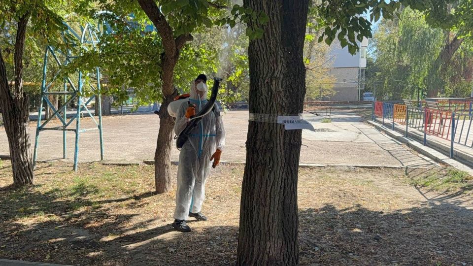 Деревья по ул. Островского обрабатывают от вредителей Деревья по ул. Островского обрабатывают от вредителей