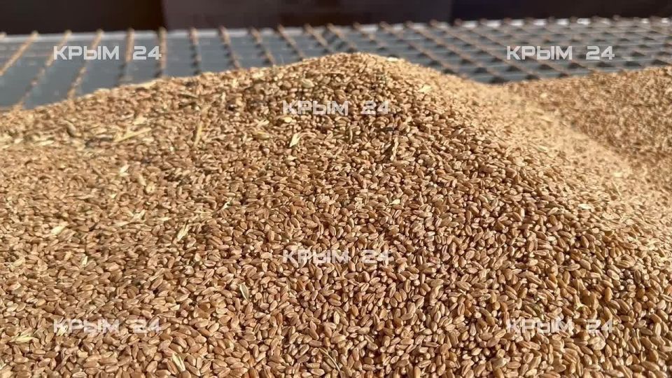 � ����� ��� ���������� � �������� �������� 2026 ����