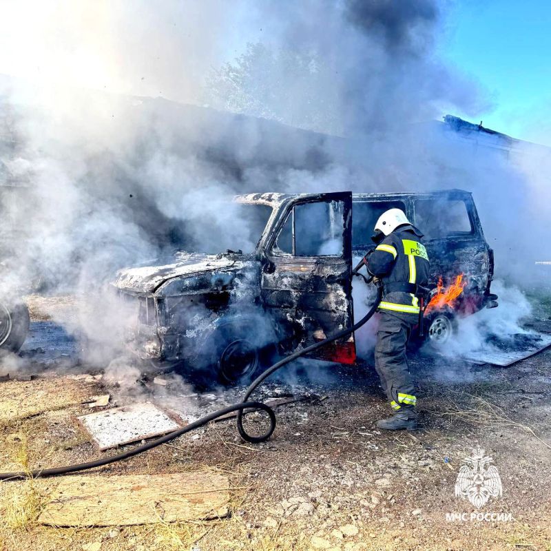 � ���� �������������� ������������������ ������ ������ ����������, �������� ��� ������������, �������� � ��������������� ������ ���