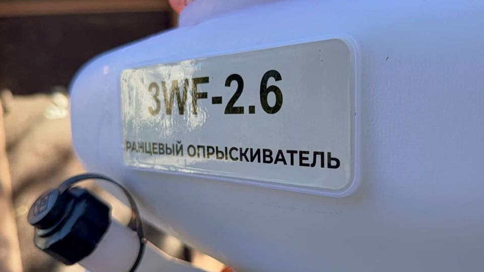 Деревья по ул. Островского обрабатывают от вредителей Деревья по ул. Островского обрабатывают от вредителей
