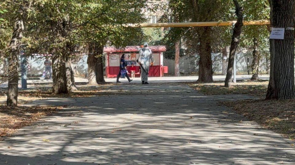 Деревья по ул. Островского обрабатывают от вредителей Деревья по ул. Островского обрабатывают от вредителей