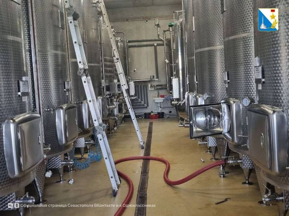 Собрали 12,5 тысяч тонн винограда Собрали 12,5 тысяч тонн винограда