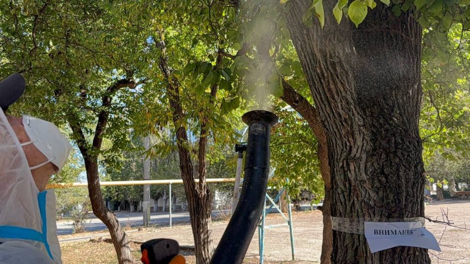 Деревья по ул. Островского обрабатывают от вредителей Деревья по ул. Островского обрабатывают от вредителей