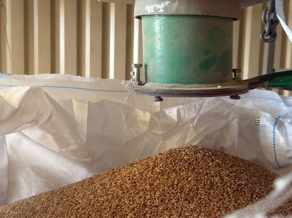 ������� ������� ������ �� ������! ������ �� ��� 100%?