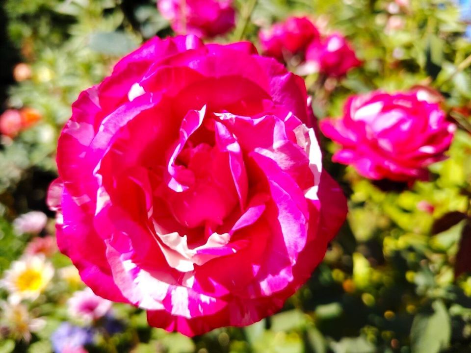 � ������ �����, �������!. ������, ����� ��� ���� �������� ��� ����� �������, �����, ���������� ���������� � ��� ����� ����, ��� ��-���������� ����������! ������� � �������� ����, t + 17 - +24, ����� ���������, �����