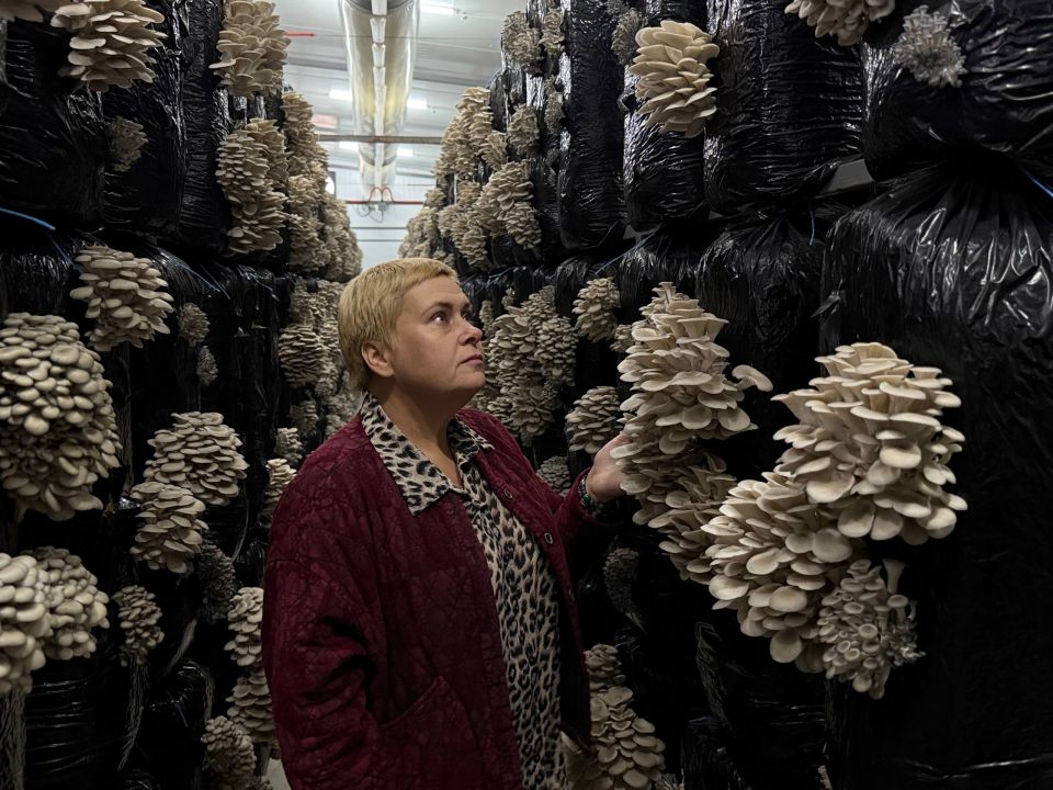 � ������ �������� ������ ������ ����������� �������� ��������� ��������� ���������� ���� ������ ������������� �������� ��� � ��������� ������ ������������������� �� �������������� ����������� ������