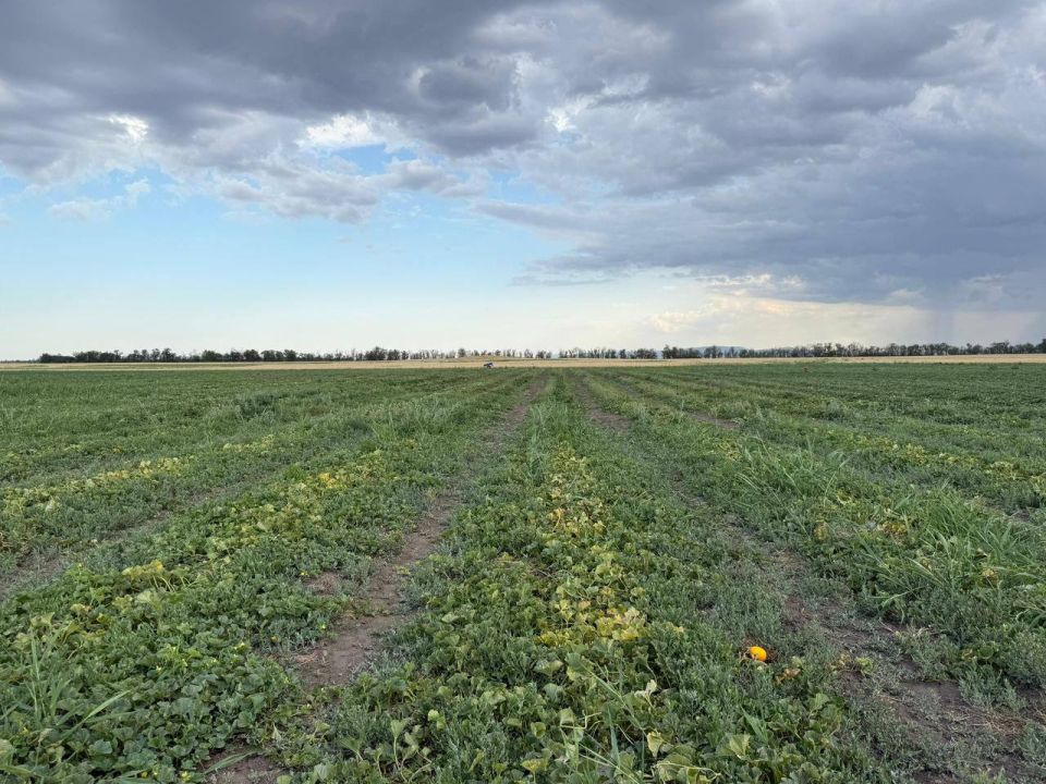 � ��������� ������ ������� ������ ������� � ���� �� ��������������� ������� � �������� ����������