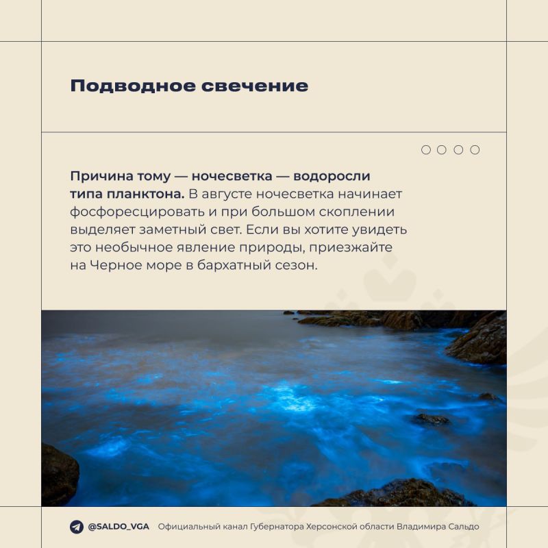 Владимир Сальдо: Всемирный день моря. Чёрное и Азовское моря — настоящий клад Херсонской области Владимир Сальдо: Всемирный день моря. Чёрное и Азовское моря — настоящий клад Херсонской области