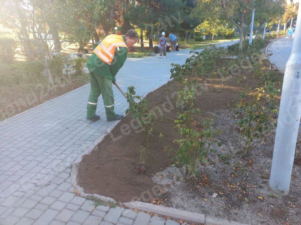 Специалисты предприятия «Парки и скверы» приступили к осенним уходовым работам в городском парке имени Анны Ахматовой Специалисты предприятия «Парки и скверы» приступили к осенним уходовым работам в городском парке имени Анны Ахматовой