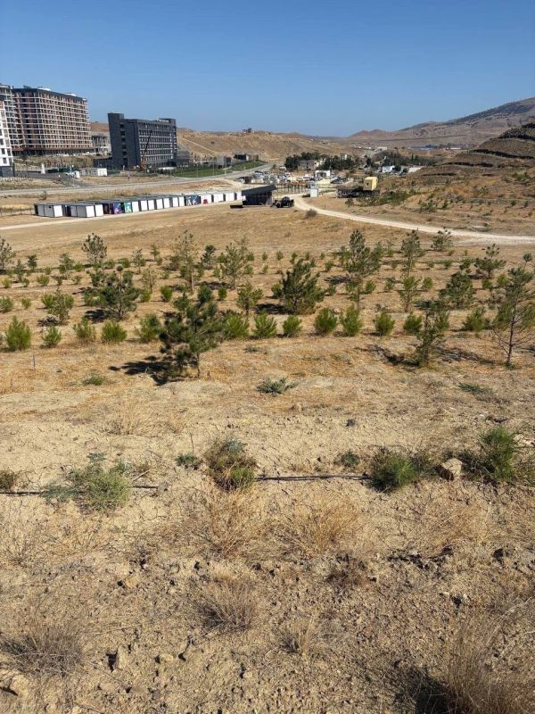 ����� �������: ���������� ���������� ����� ��������� � ��� �� �������-�������� ������������ ����������� ������������ ������ �����, ����������� � ������ ���������� ��������������� ������������