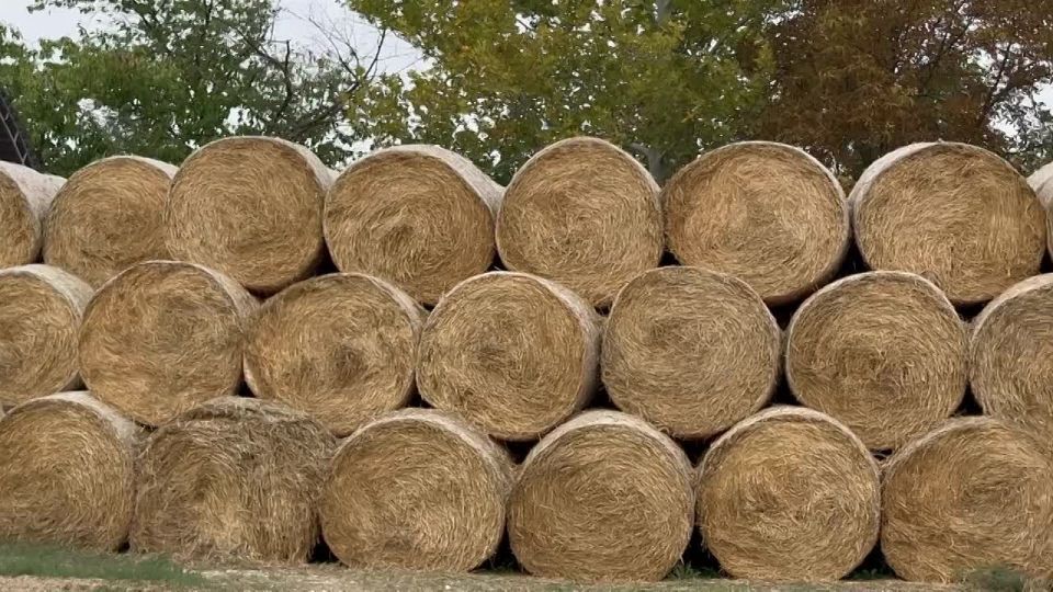 � ������ �������� ������ ������ ����������� �������� ��������� ��������� ���������� ���� ������ ������������� �������� ��� � ��������� ������ ������������������� �� �������������� ����������� ������