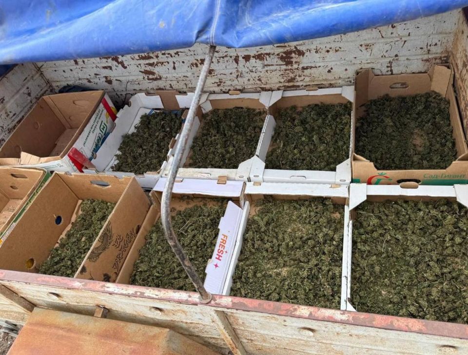 � ��������� ������ ������� ������ ������� � ���� �� ��������������� ������� � �������� ����������