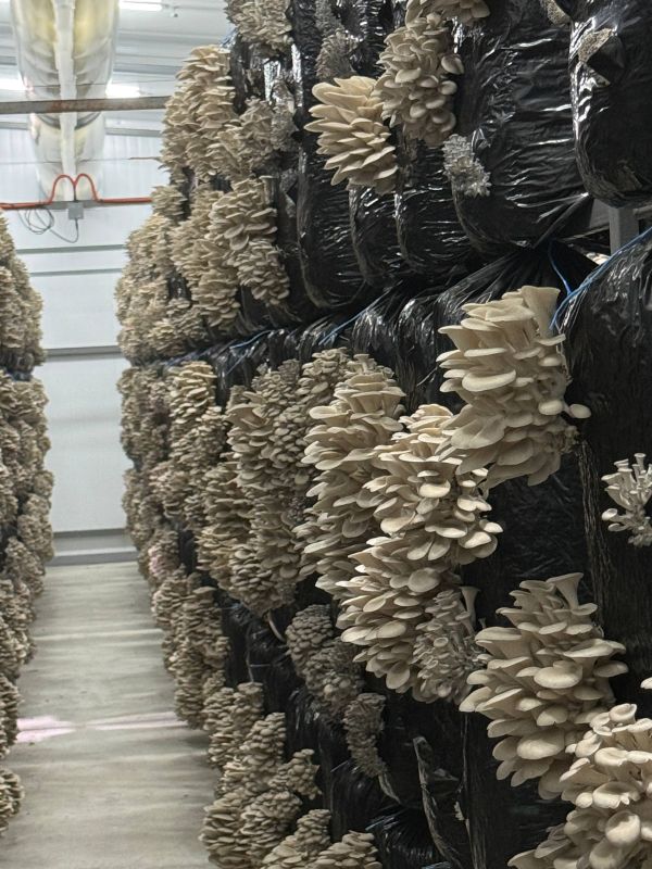 � ������ �������� ������ ������ ����������� �������� ��������� ��������� ���������� ���� ������ ������������� �������� ��� � ��������� ������ ������������������� �� �������������� ����������� ������