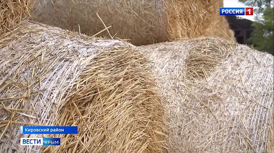 ����� �������� �� ���������� ������ �������� ����� � 15 ��� ������ �� �������� �������� ������������