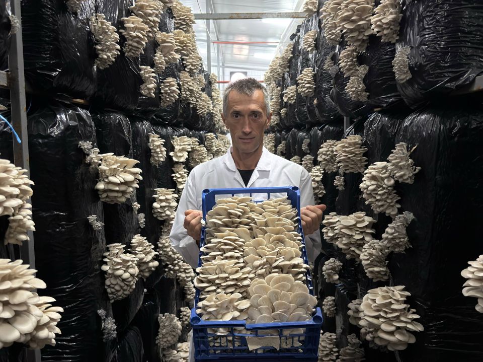 � ������ �������� ������ ������ ����������� �������� ��������� ��������� ���������� ���� ������ ������������� �������� ��� � ��������� ������ ������������������� �� �������������� ����������� ������